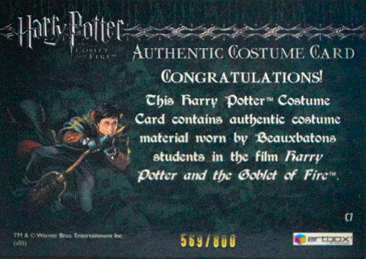 C7 - Beauxbatons Students Costume - Back
