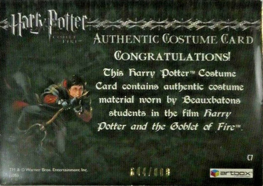 C7 - Beauxbatons Students Costume - Back