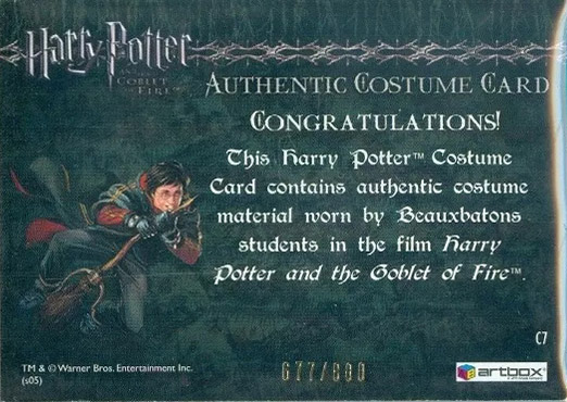 C7 - Beauxbatons Students Costume - Back