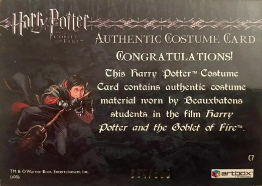 C7 - Beauxbatons Students Costume - Back