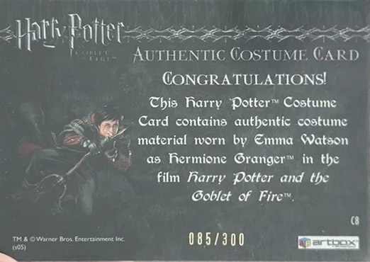C8 - Hermione's Trousers - Back