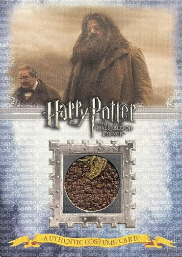 C4 - Rubeus Hagrid's Costume - Front