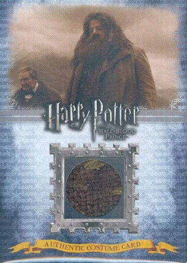 C4 - Rubeus Hagrid's Costume - Front