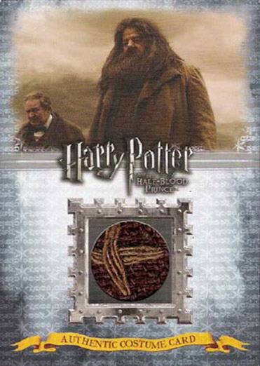C4 - Rubeus Hagrid's Costume - Front