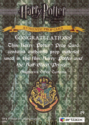 P9 - Slughorn's Office Curtains - Back