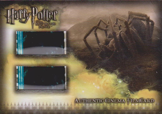 CFC4 - Aragog Belly-Up - Front