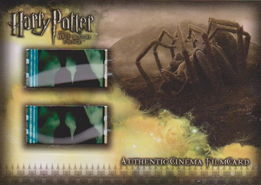 CFC4 - Aragog Belly-Up - Front