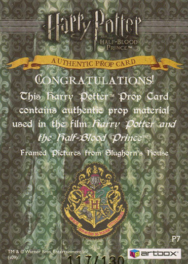 P7 - Framed Pictures from Slughorn's House - Back
