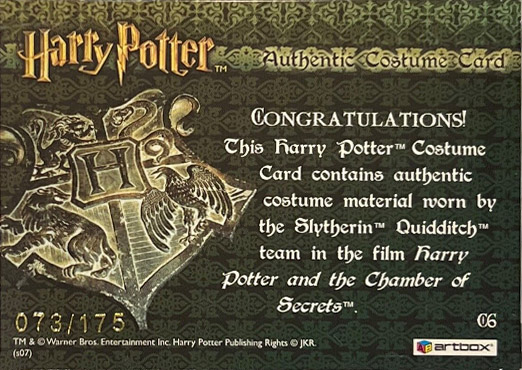 C6 - Slytherin Team Quidditch Robes - Back