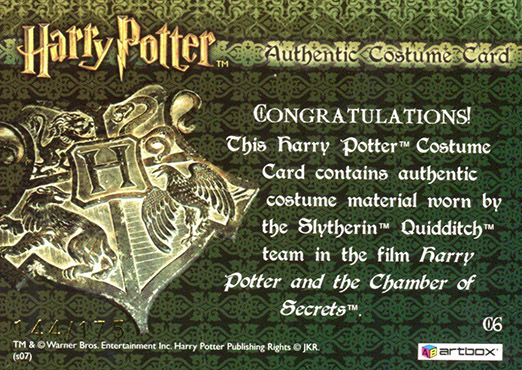 C6 - Slytherin Team Quidditch Robes - Back