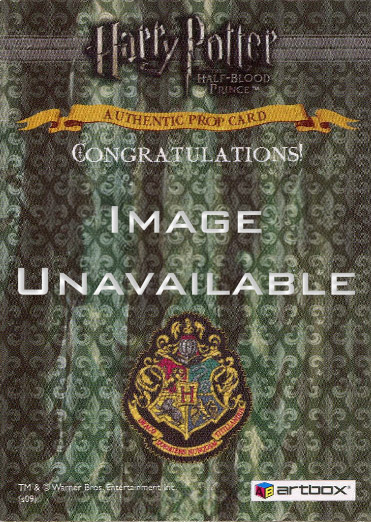 P3 - Ron's Hospital Bed Sheets - Back